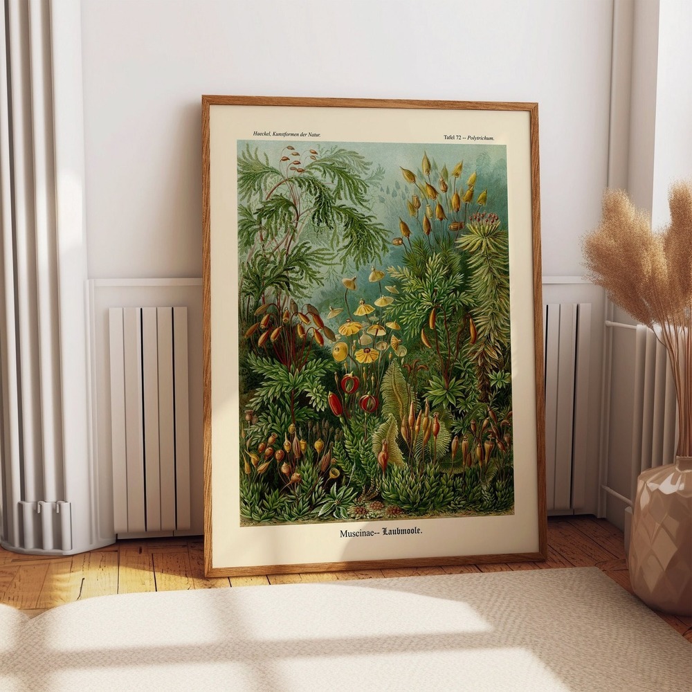 Moss Illustration Moss Wall Art Nature Poster Of Natural World